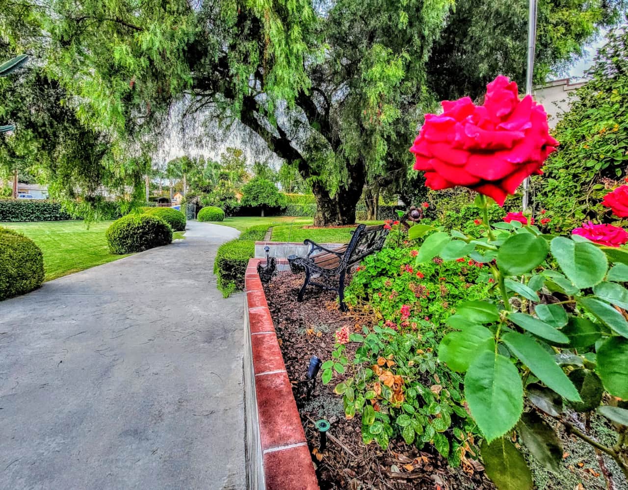 Exterior Pathway Overview