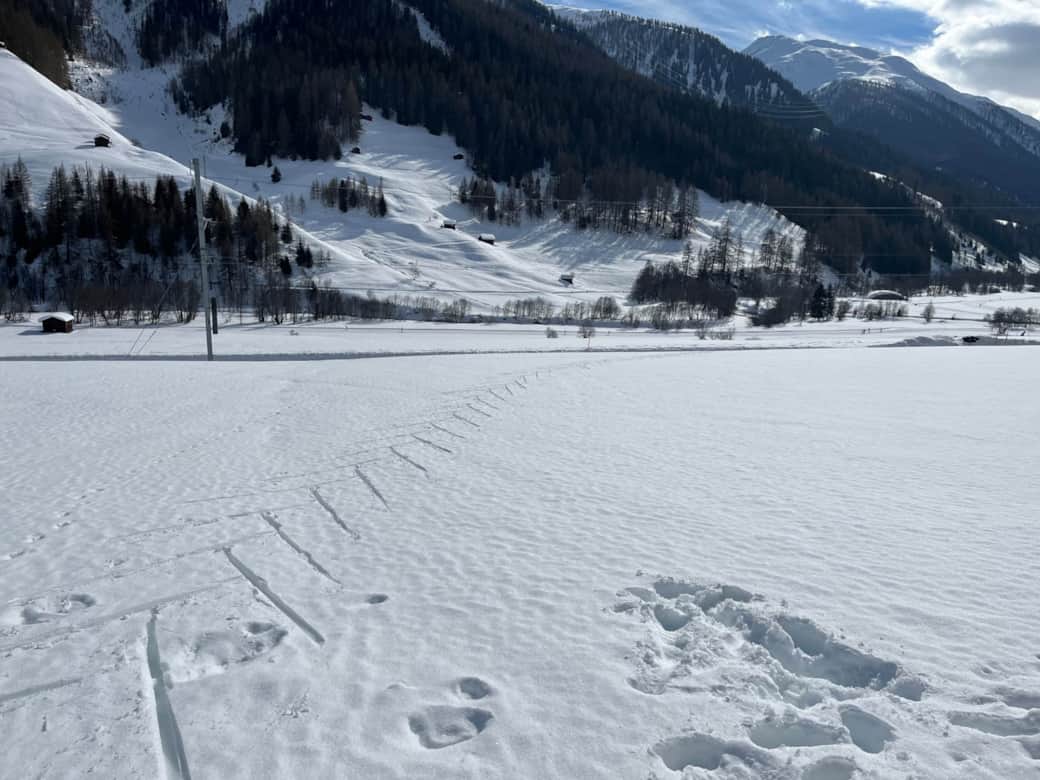 vers la piste de ski de fond