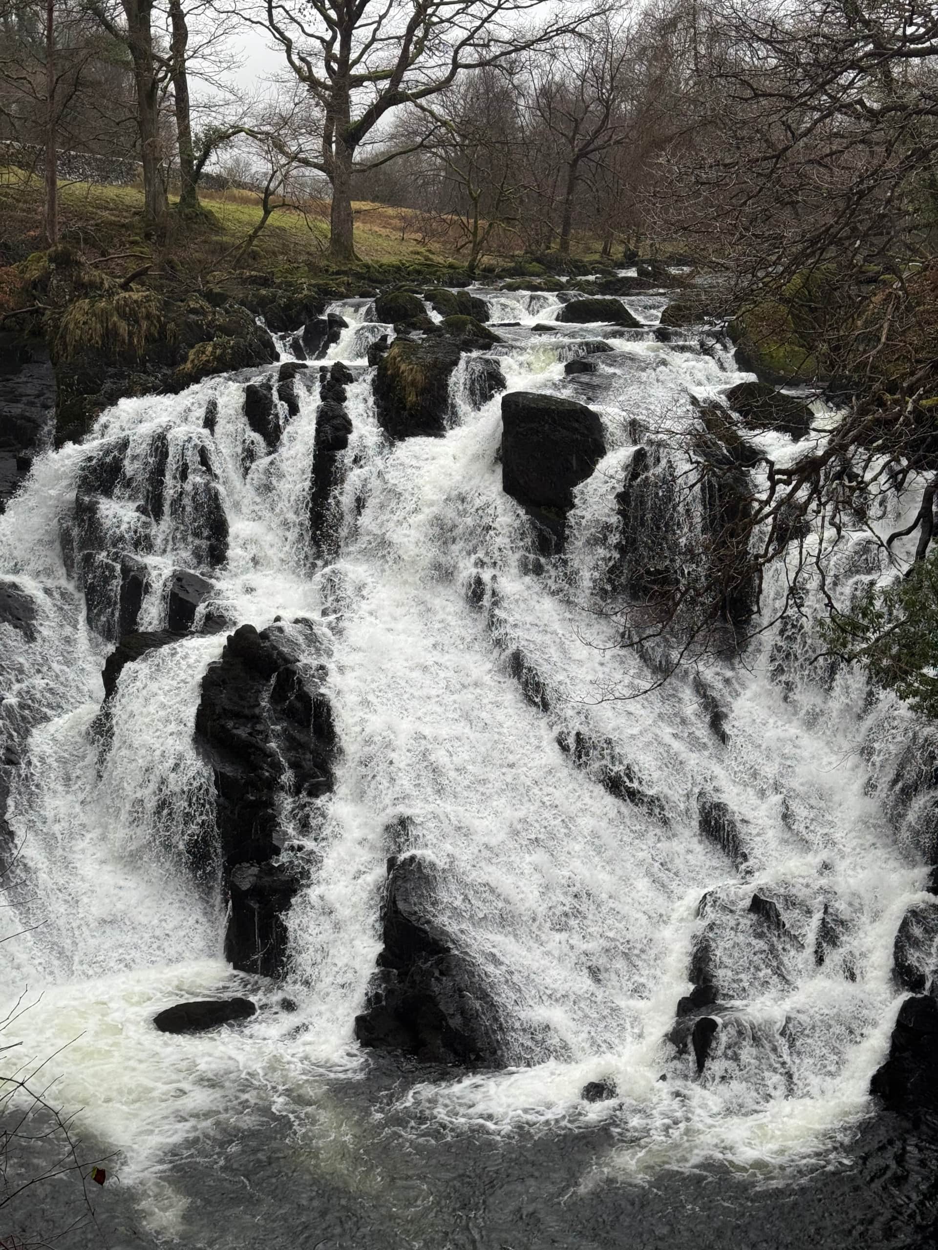 Swallow Falls
