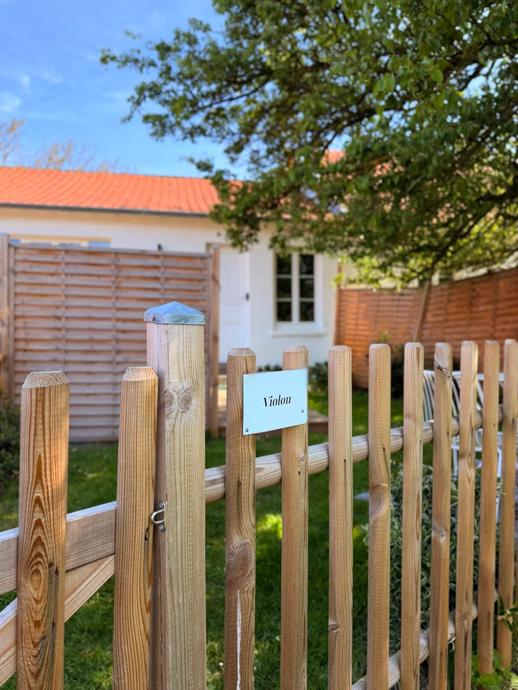 IMG 0908 IMG 0908