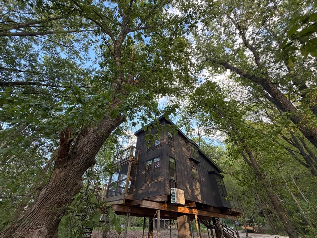 Treehouse 4
