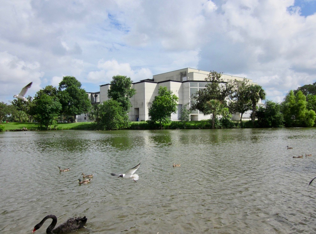 A white building surrounded by trees and a lake with birds.