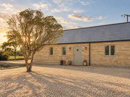 Four-legged guests and the outdoor spaces