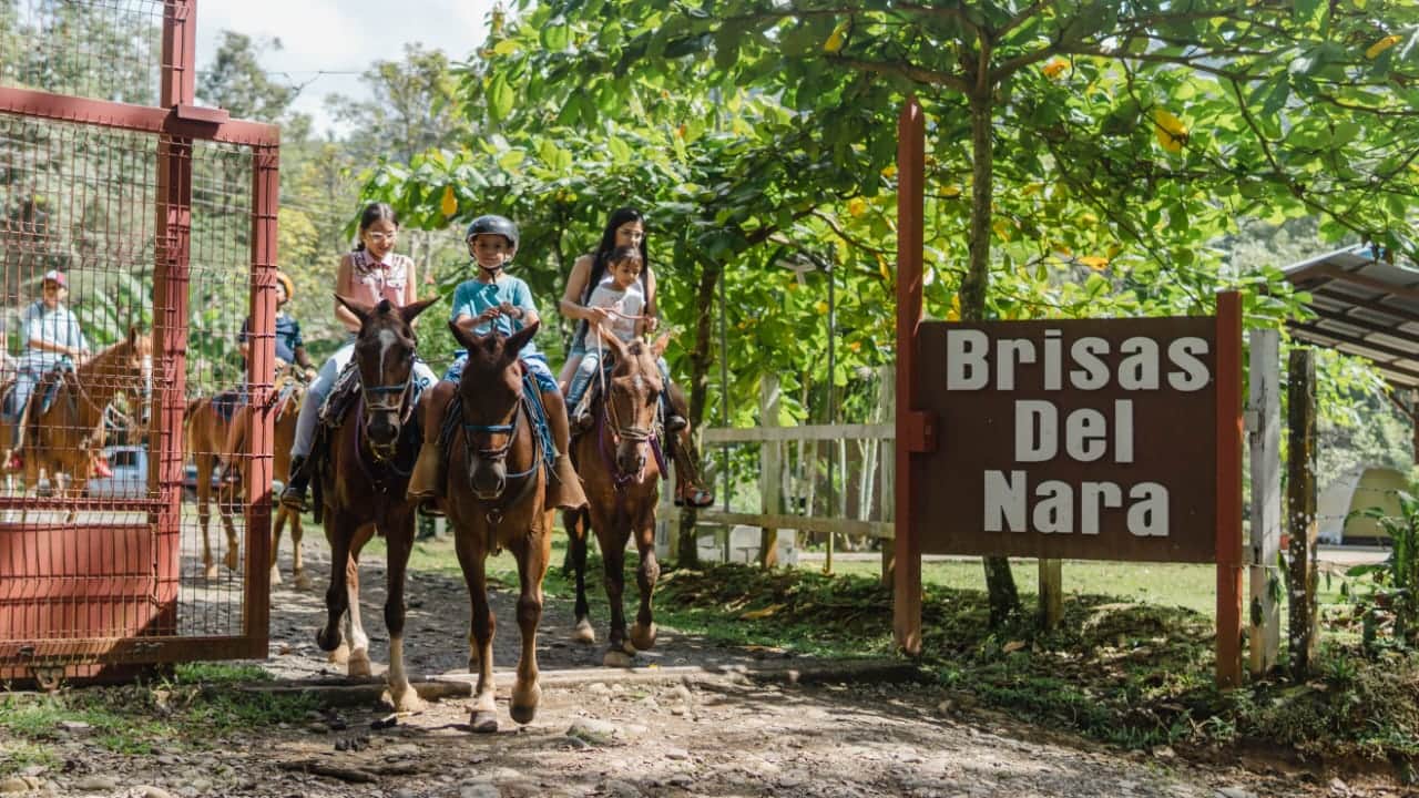 HorseBack Riding Manuel Antonio