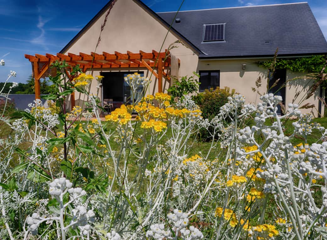 Jardin fleuris
