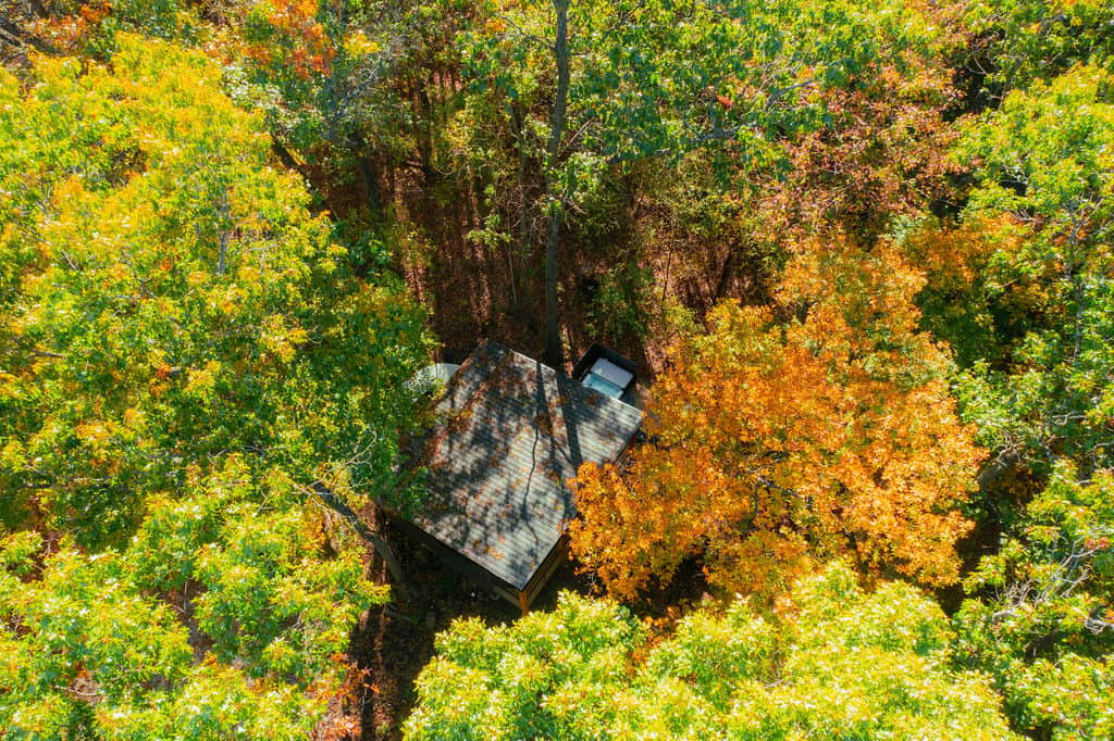 Completely surrounded by fall foliage