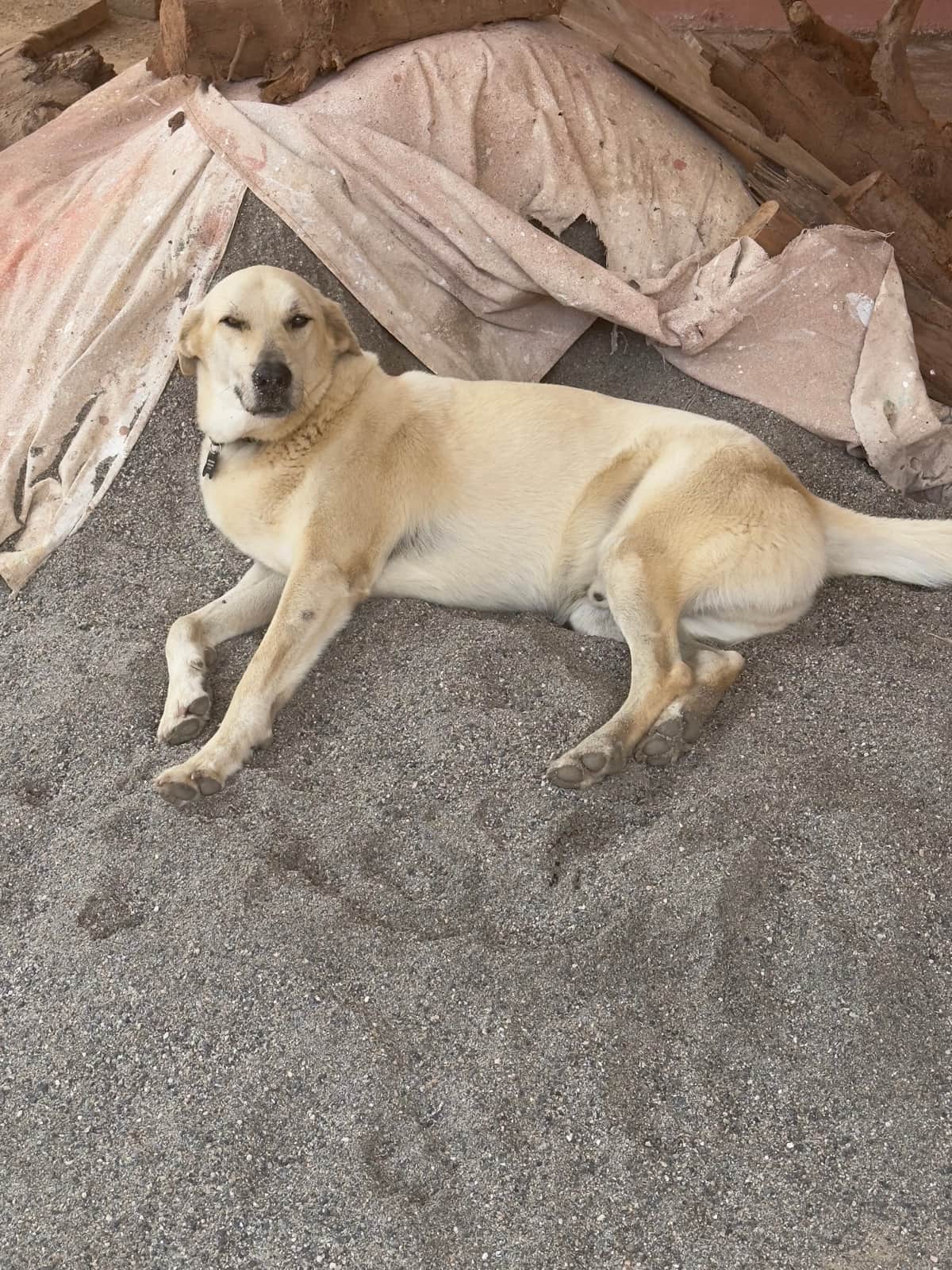 Facebook relaxing at Cerrito Encantado