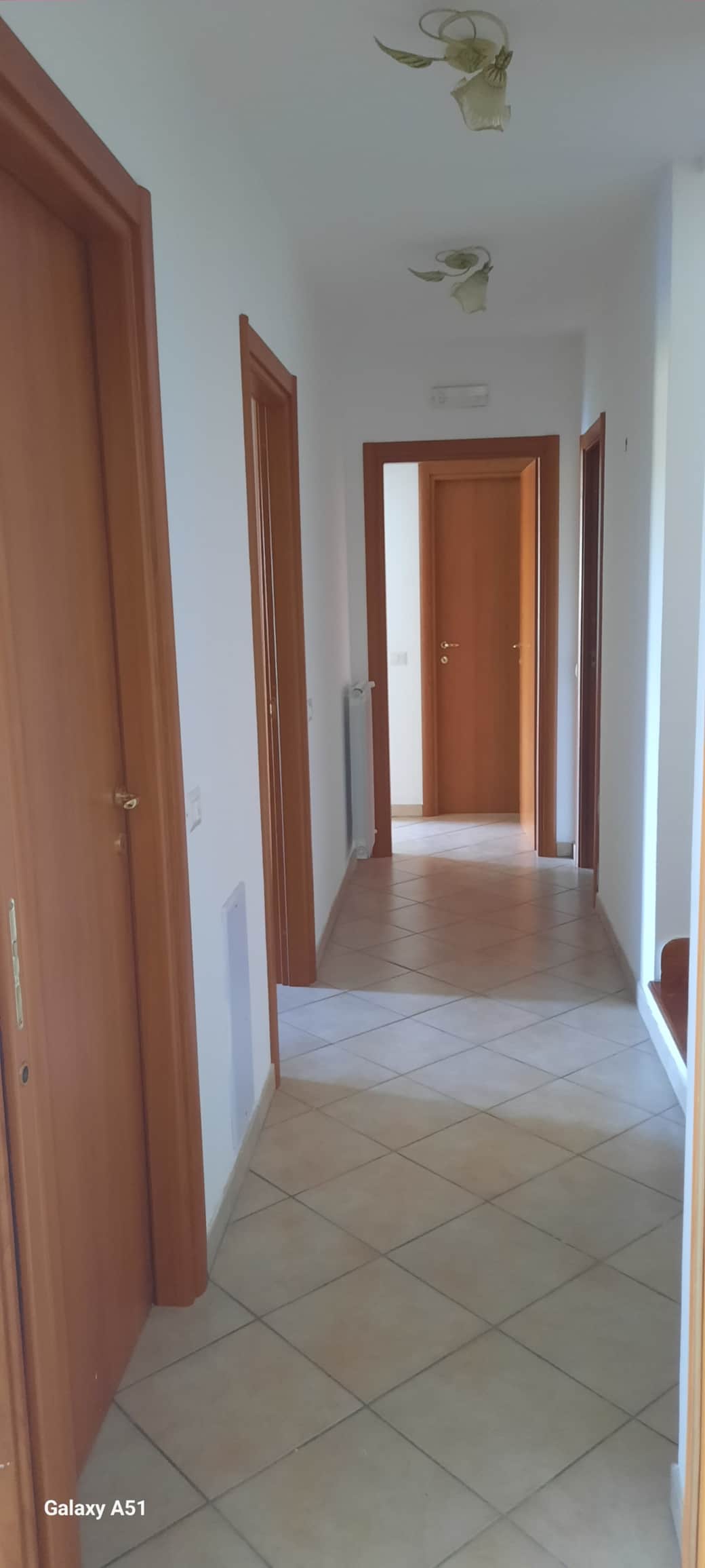 20240814 175349 resized