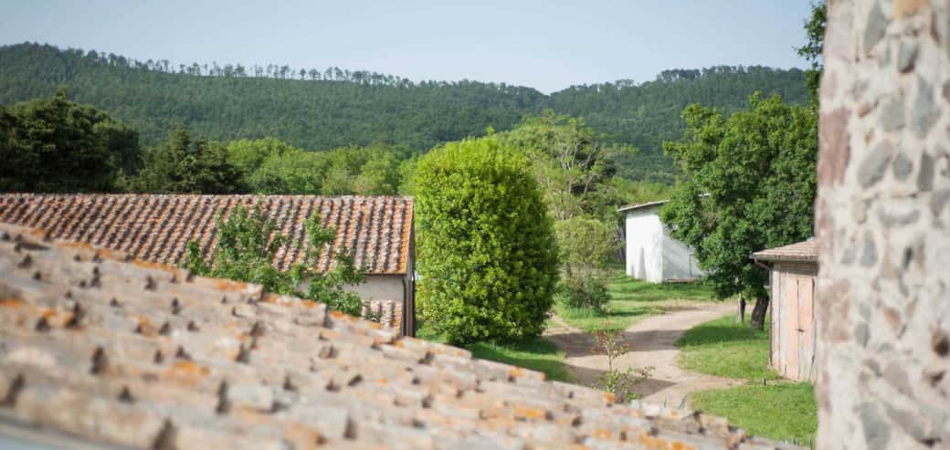 Garten - il giardino