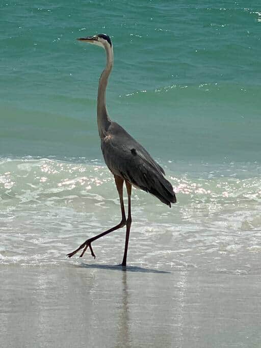 Visitors are always welcomed!!!