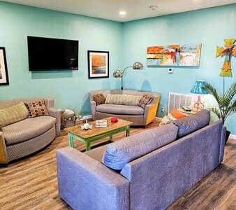 Stay and Play TWO fold out single sleeper sofas