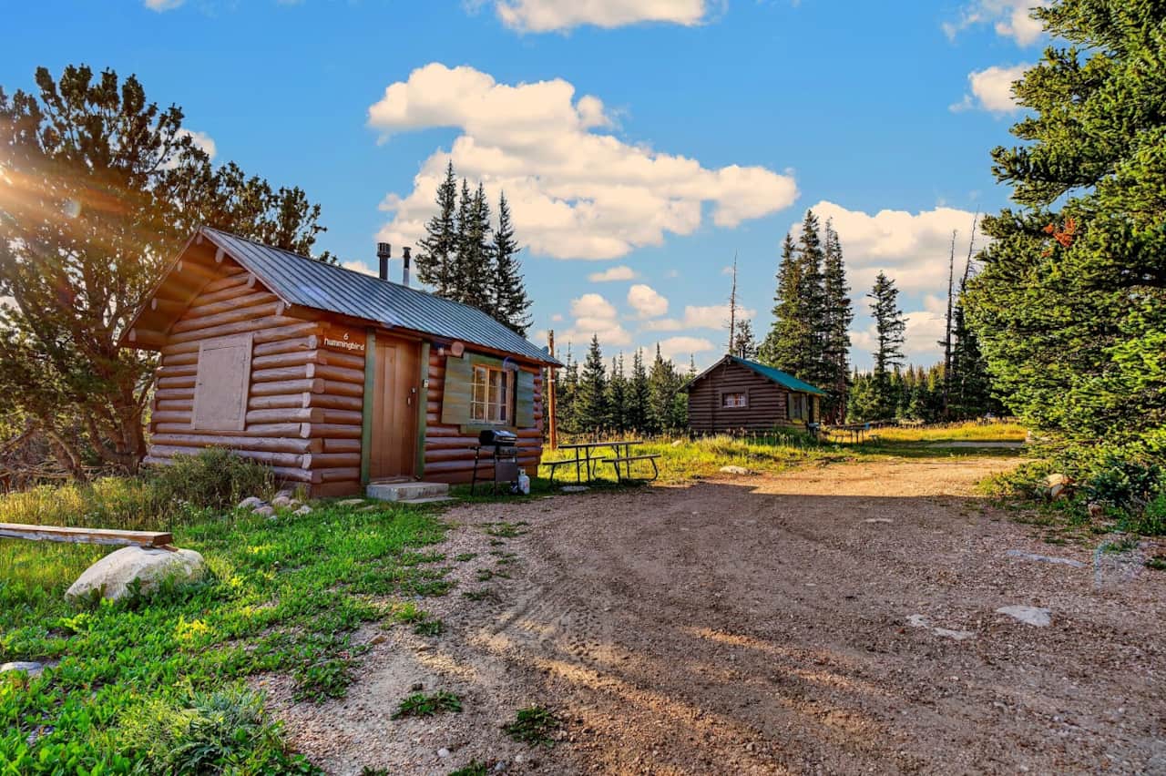 Cabin 6