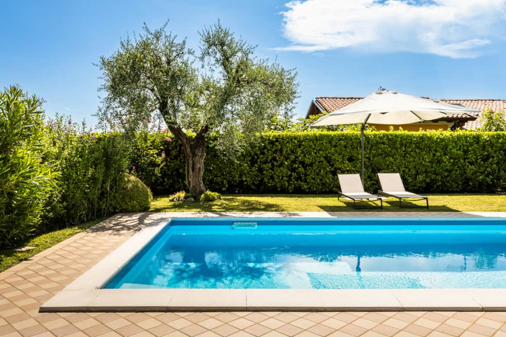 Der Poolbereich mit Olivenbaum, eingebettet in den Garten, ruhig und privat