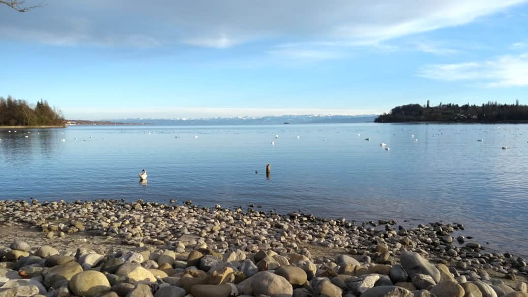 Insel Mainau