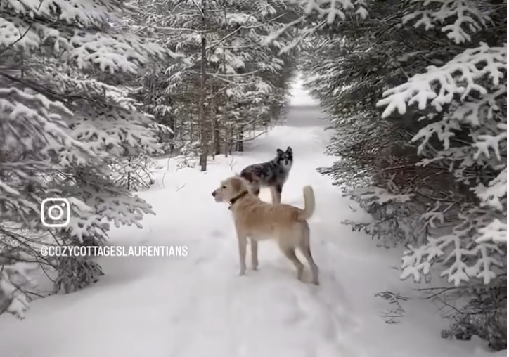 CozyCottages Instagram Reel