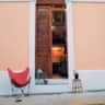 Rental image