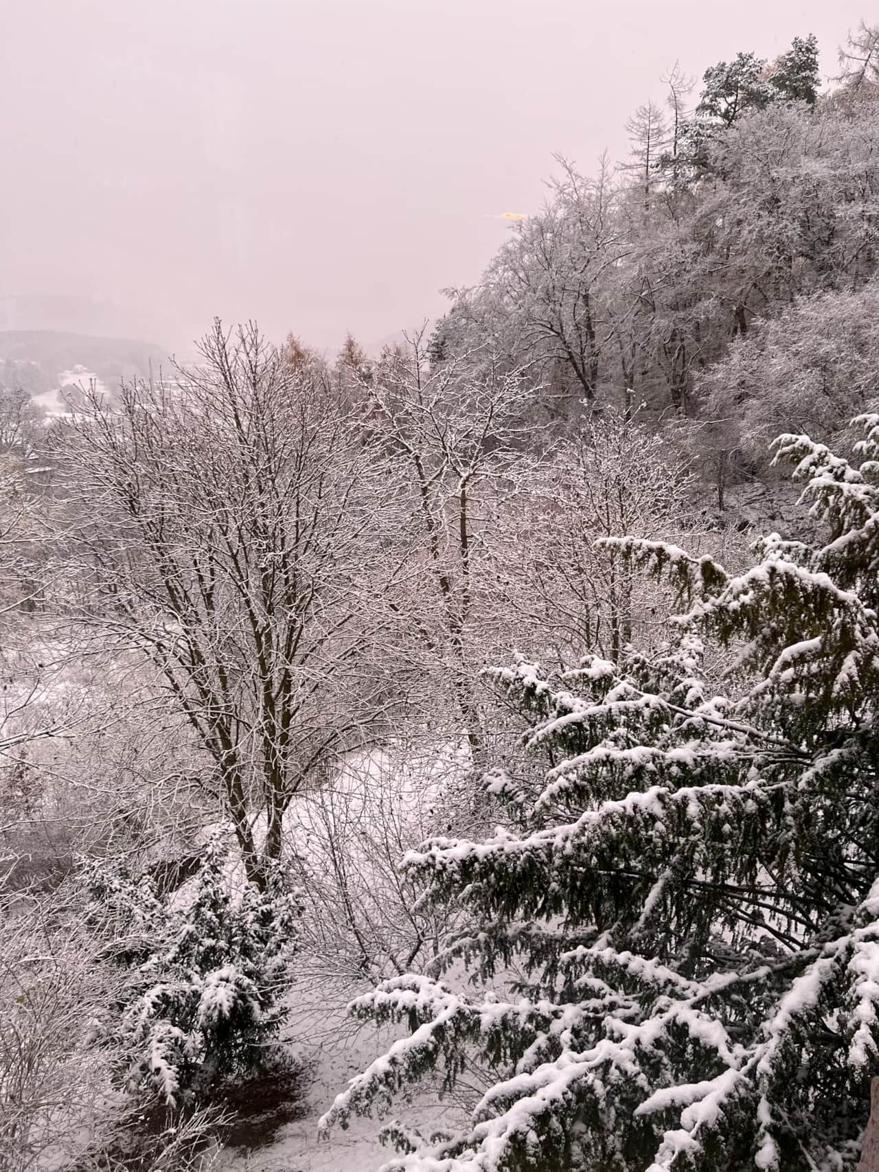 Ausblick