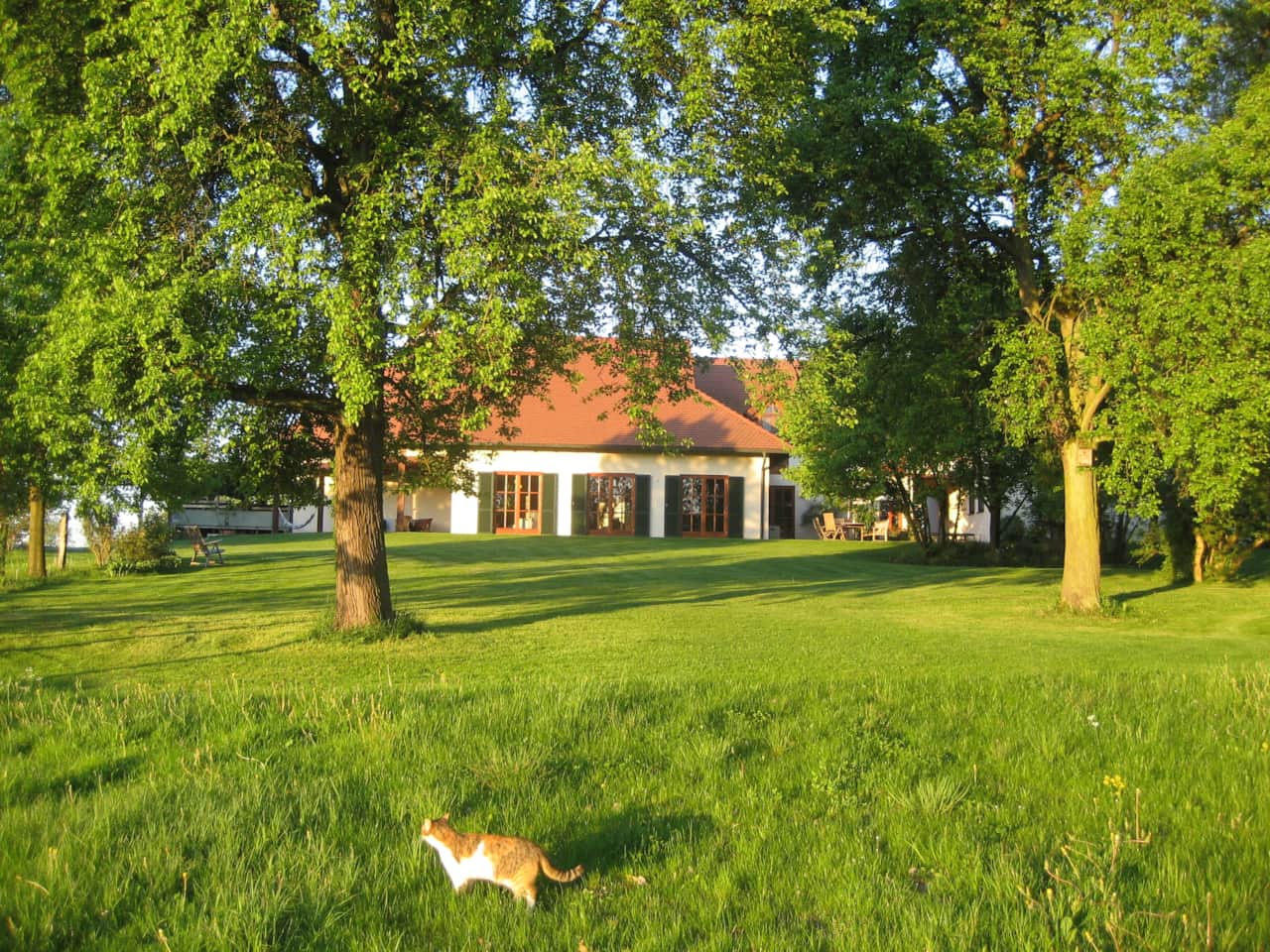 Garten