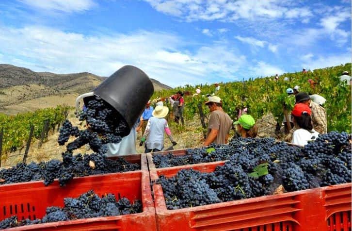 vidanges du Douro 0m