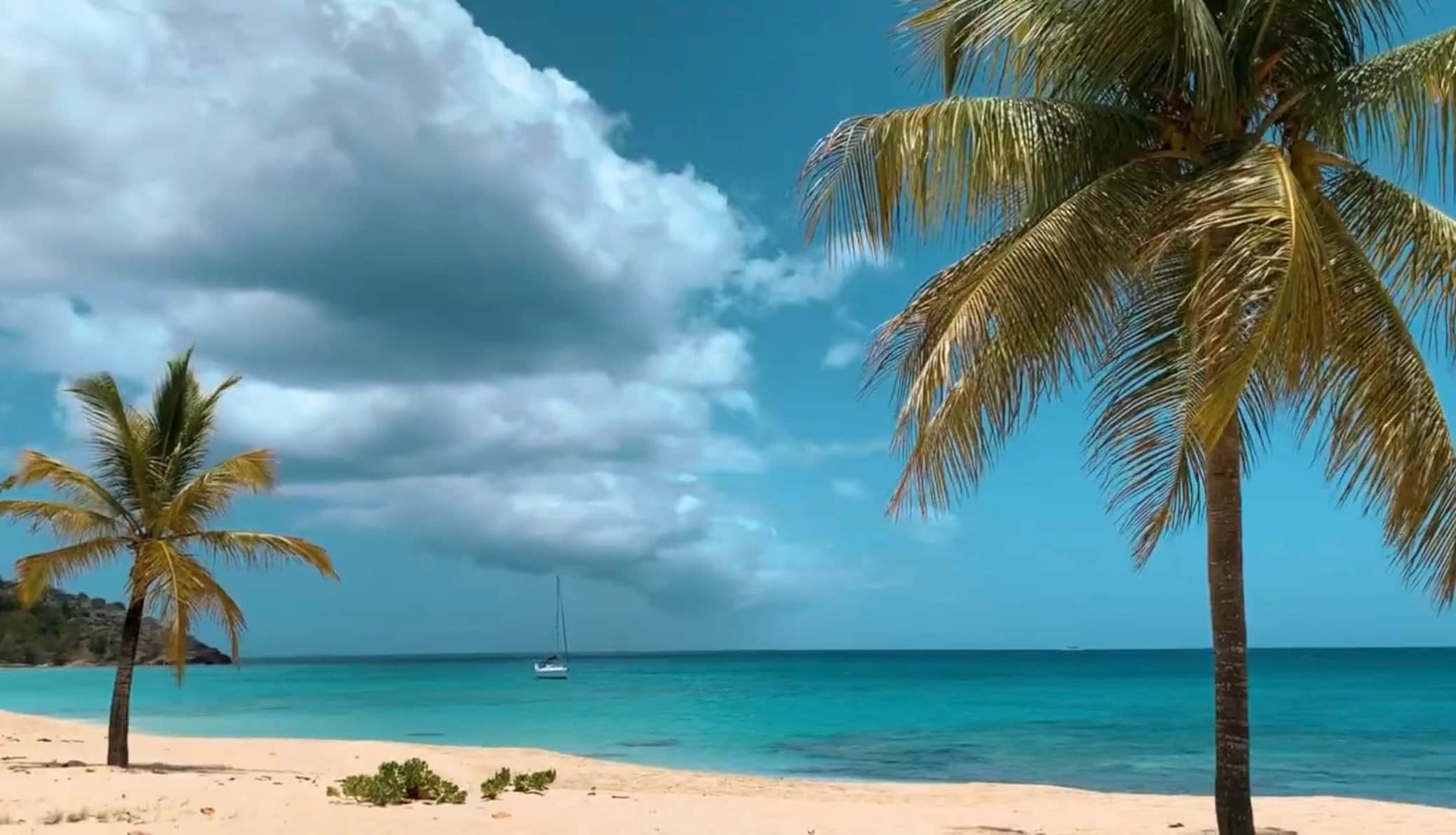 https://l.icdbcdn.com/oh/1d5bd625-7650-4394-85d0-ee386da351de.jpg?w=2080-3