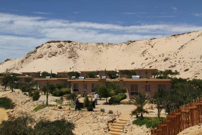 Ocean Vagabond - Hotel in Dakhla
