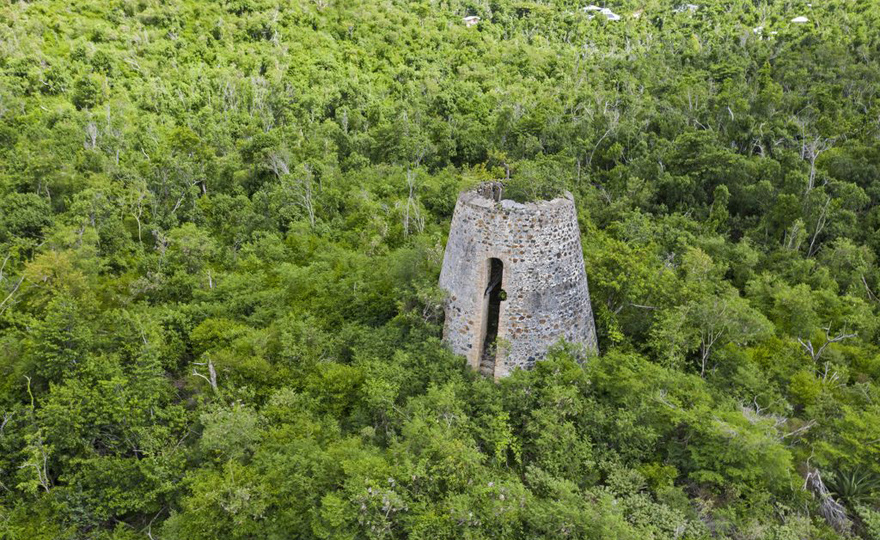 Ruin of Estate Carolina Windmill - Visible from Banana Sweet