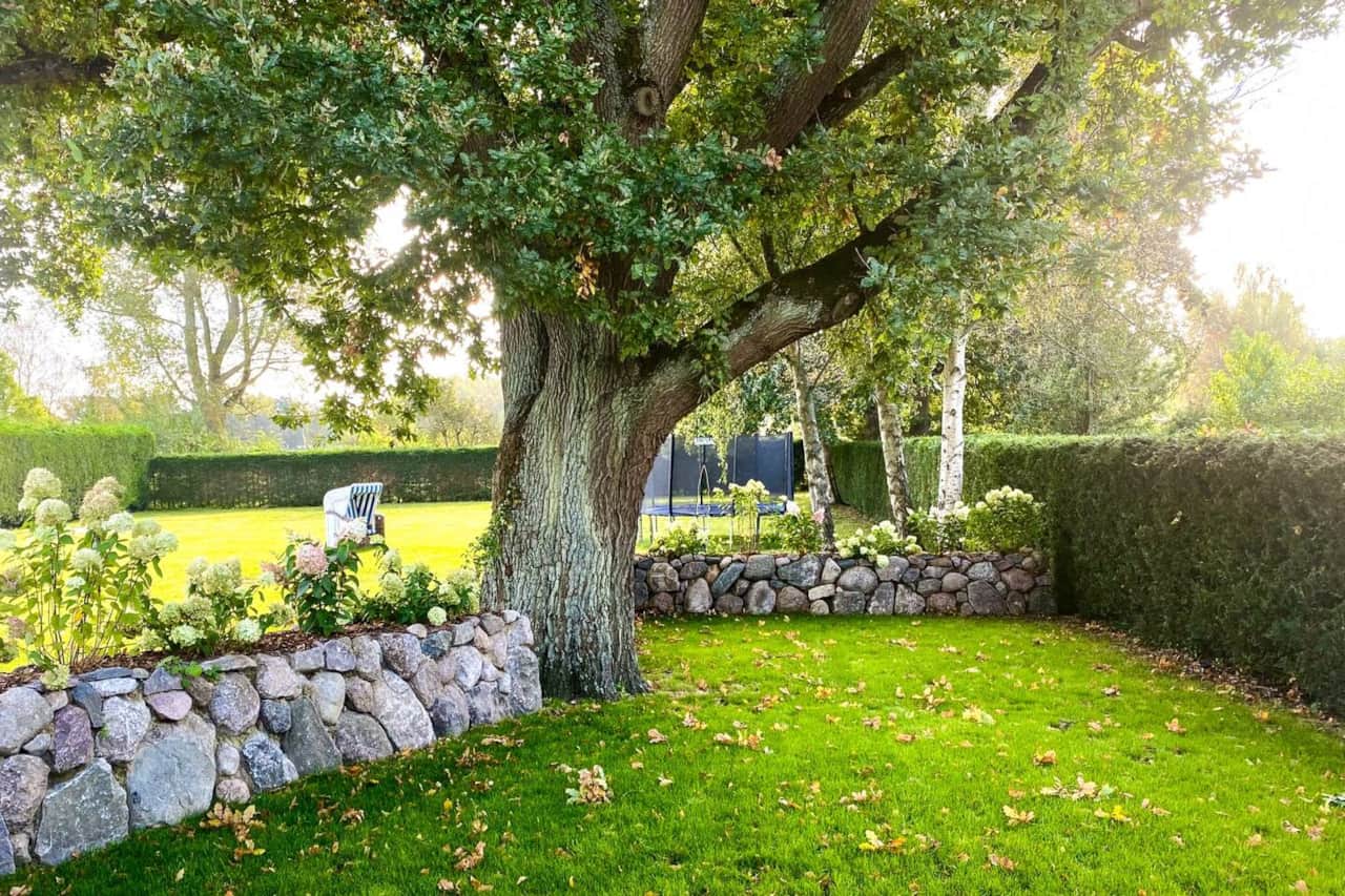 Auri Garten mit 350 Jahre alter Eiche