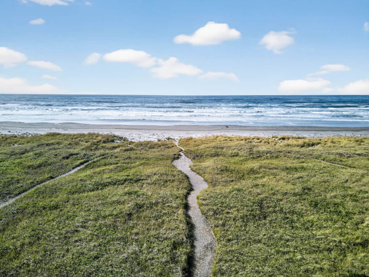 Path to the Ocean.jpg