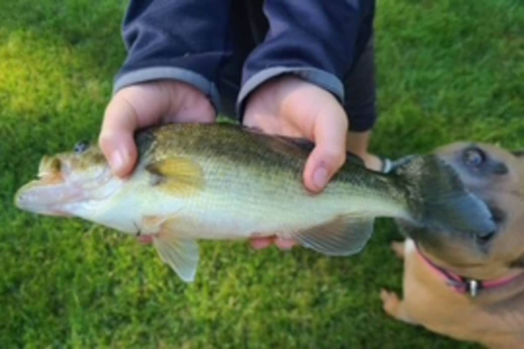 Fishing off the dock