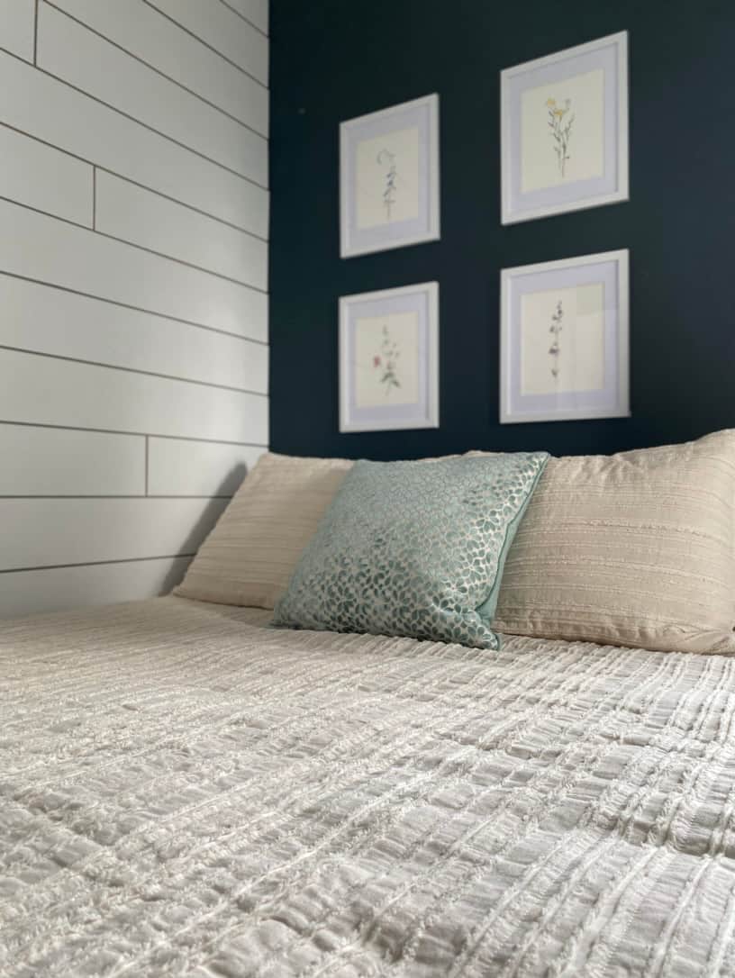 C5DD37E0 6535 48A5 8016 91D084EC5AF1 1 105 c