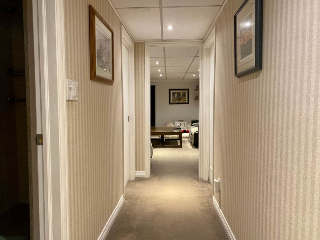 Image 50378241
