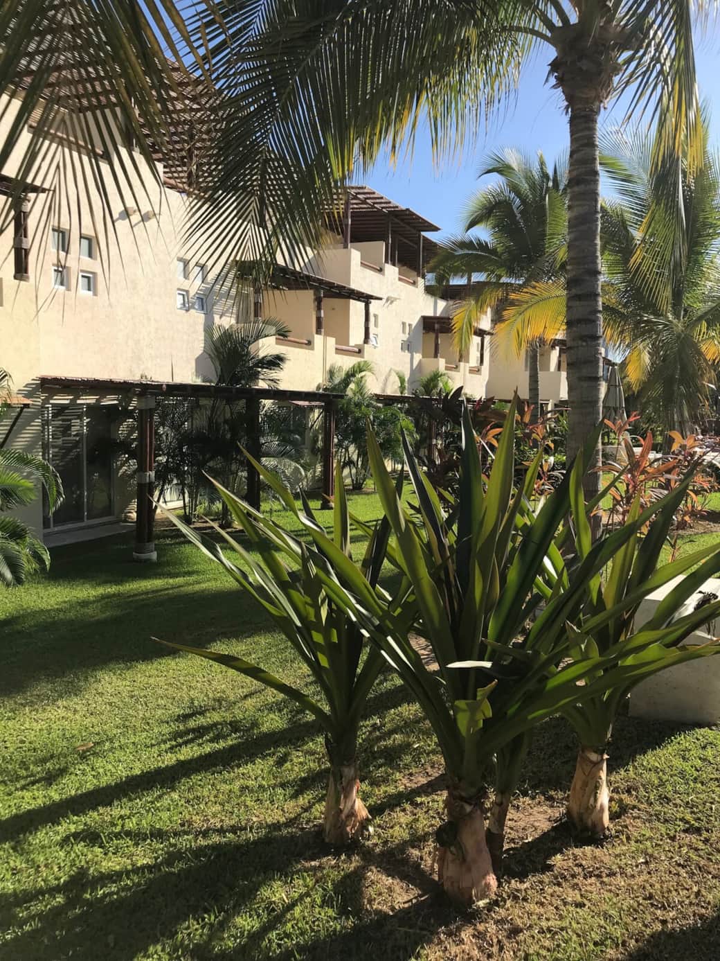 25000 m2 de áreas verdes