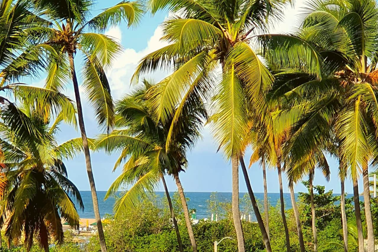 Casa Amarela - vista mar