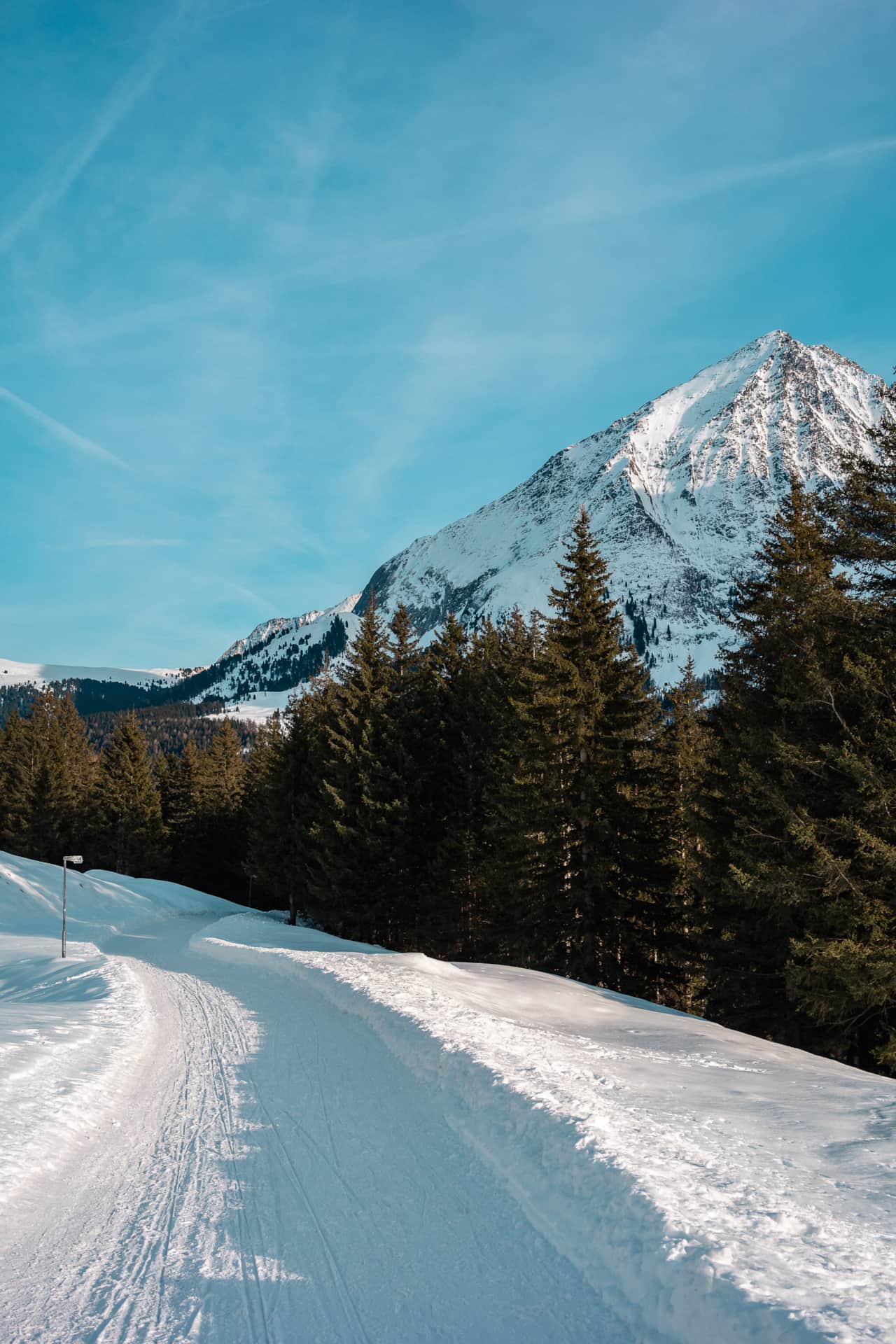 Toboggan run Bichlalm