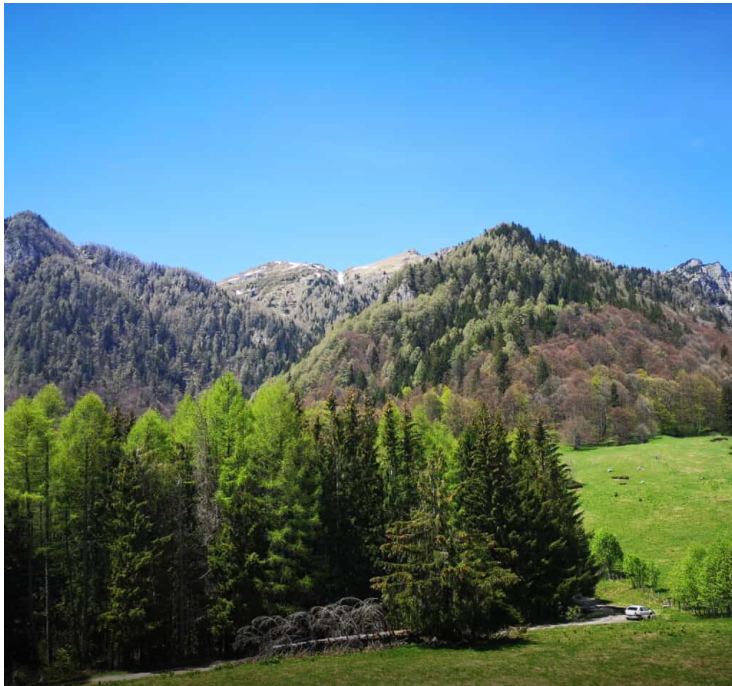 Weekend în Sinaia