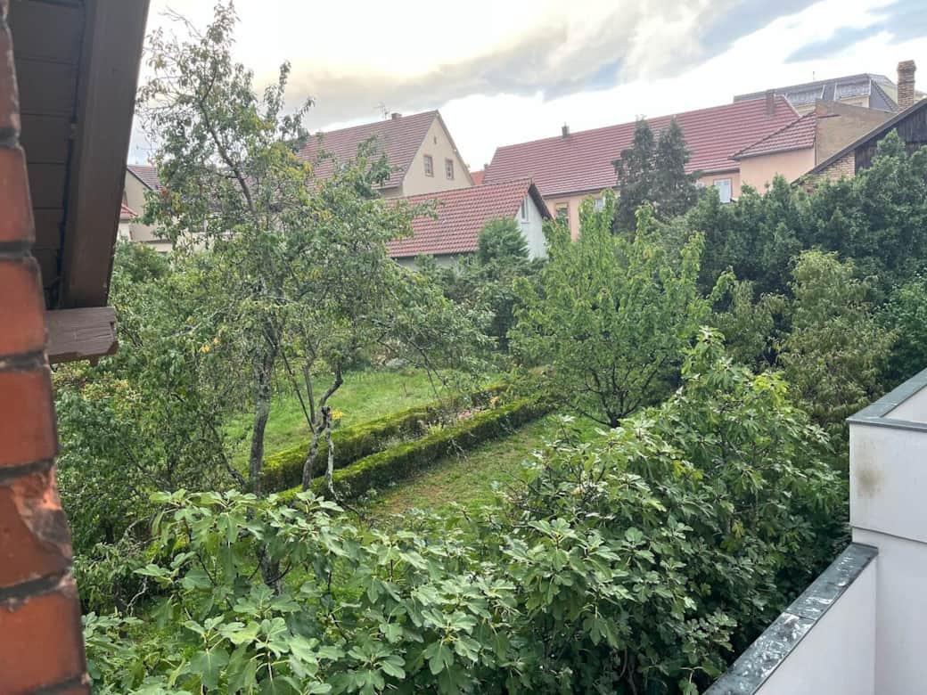 C'est la vue par la fenêtre depuis la chambre