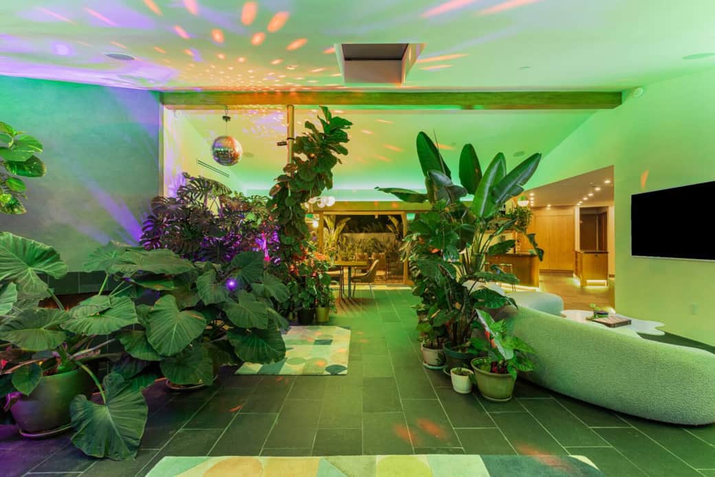 Disco ball lighting turns this green sanctuary into your own vibrant lounge. Disco ball lighting turns this green sanctuary into your own vibrant lounge.
