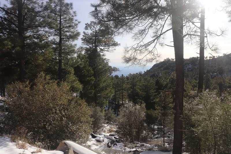 Snow-covered Mount Lemmon above Tucson, Arizona
