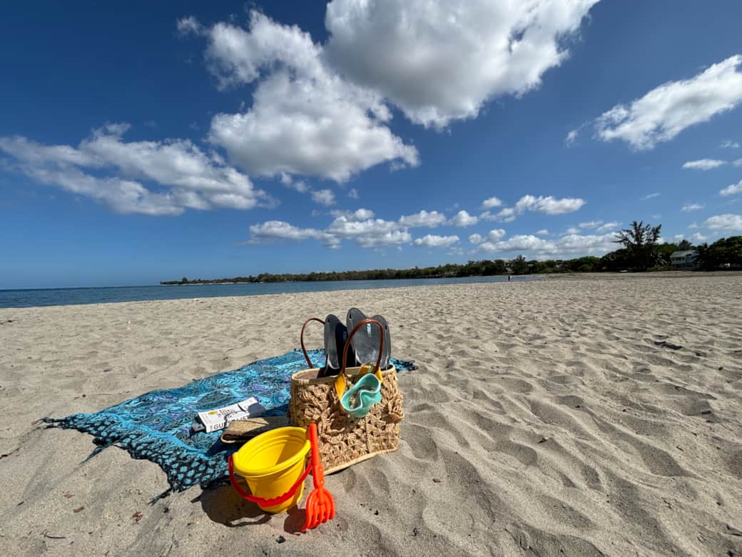 La Baie de Tamarin - 9min walk (3)