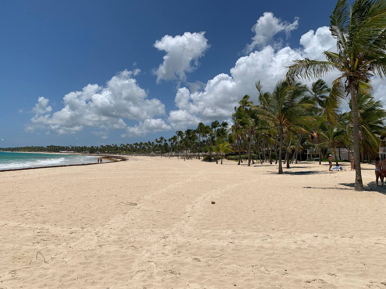 Beautiful Condo Fully Renovated, Pool Beach Access photo 4