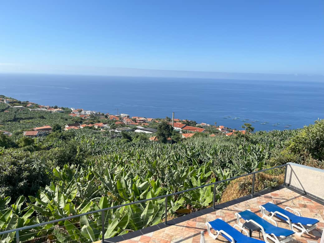 Banana groves view