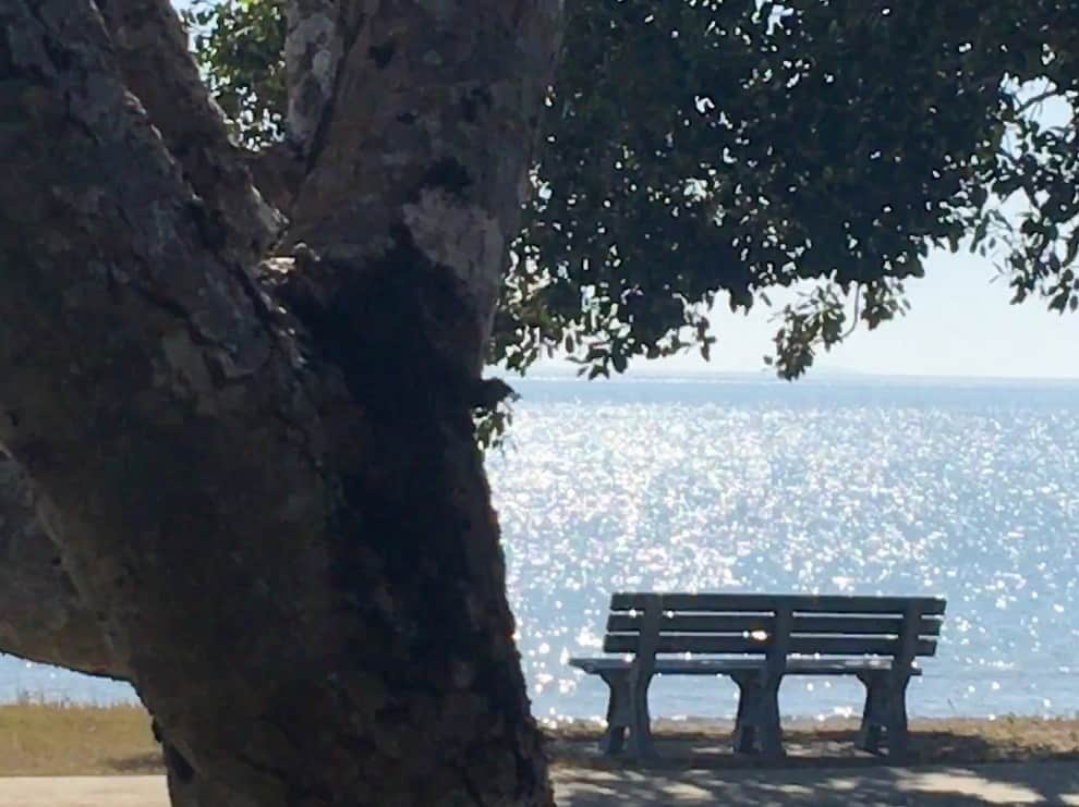 Seaforth Contemplation Chair
