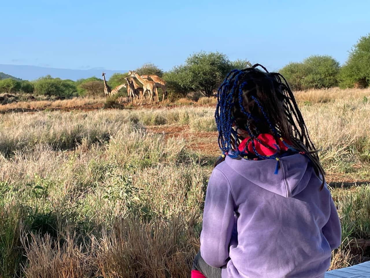 Our waterhole can be very busy
