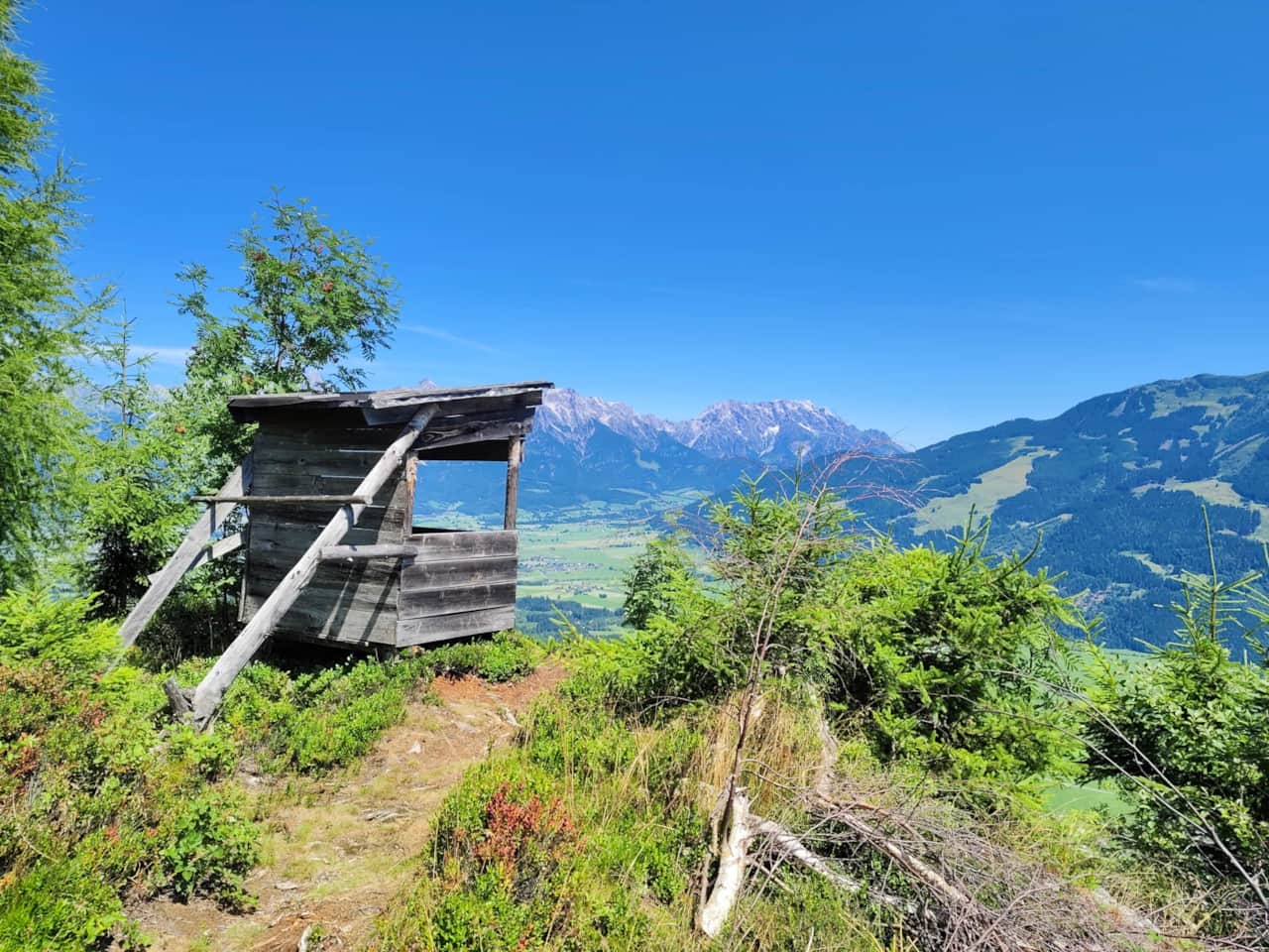 Bergnestblick Geheim von Maishofen.jpg