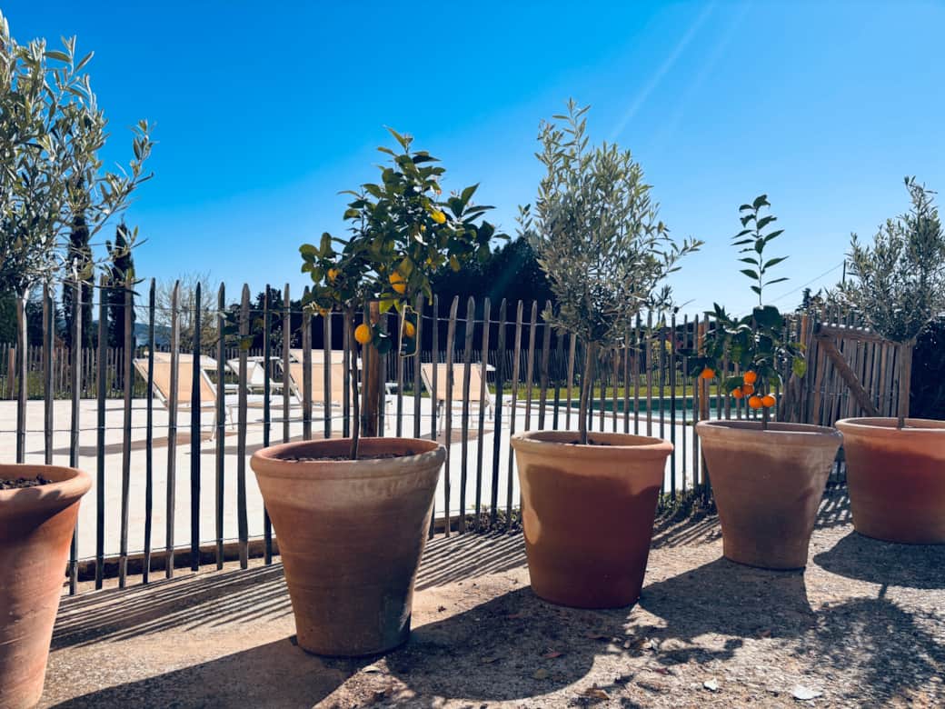 Maison poumo olivier gite piscine provence