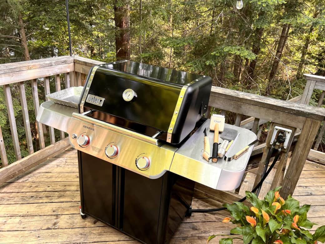 New in 2025 Weber Genesis. It is connected directly to our propane. Cover provided.  