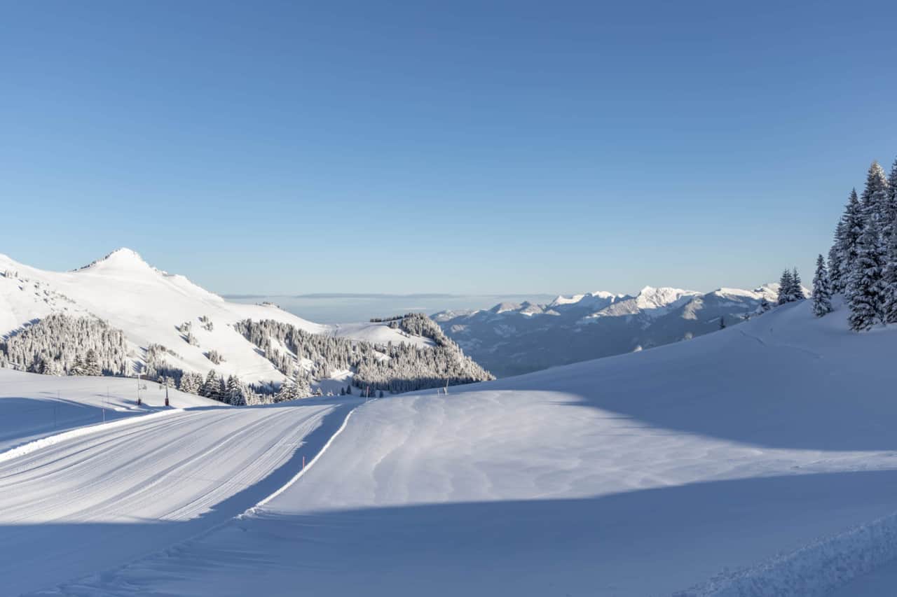Paysages_PdS_6_©Denis Angheben - PortesDuSoleil.jpg