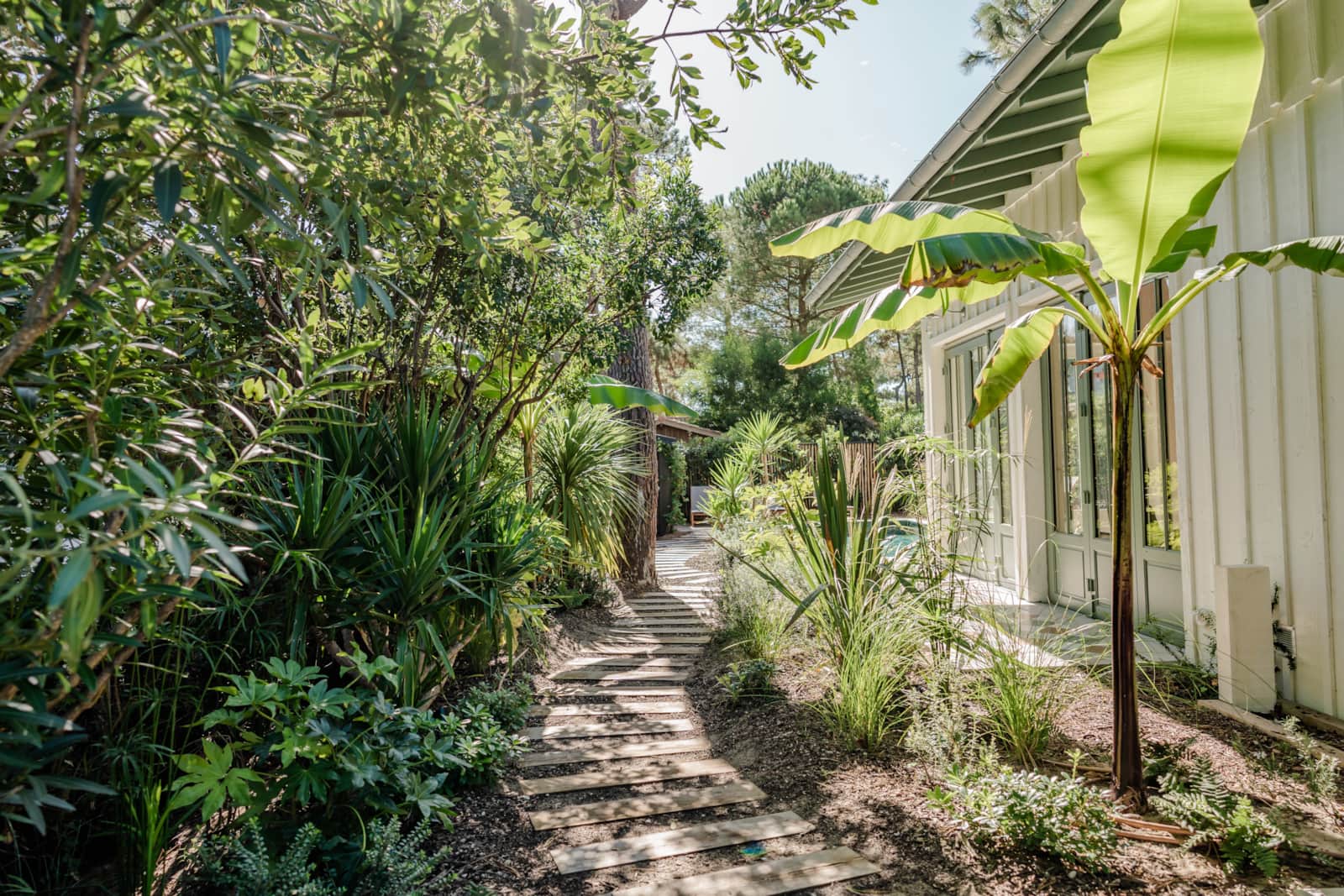 Villa Les Palmiers — photo 6