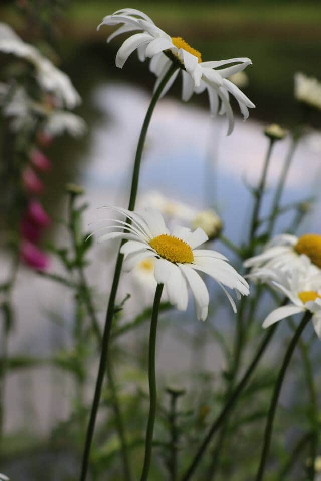 7d2227d0 175c 4b9e 8fcb f071a6a6170d