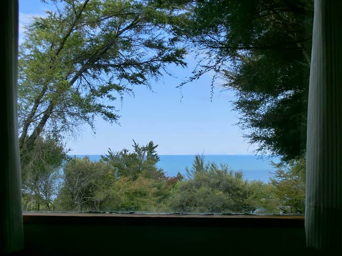 Pi Honi's view
